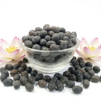 Lotus Plant Seed (Piece of 40)